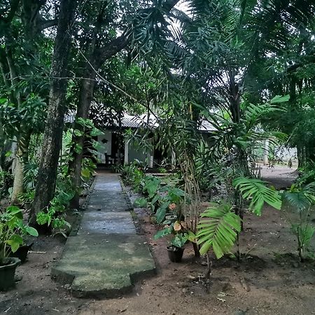 Sigiri Mango Garden Eco Resort Sigiriya Exteriör bild