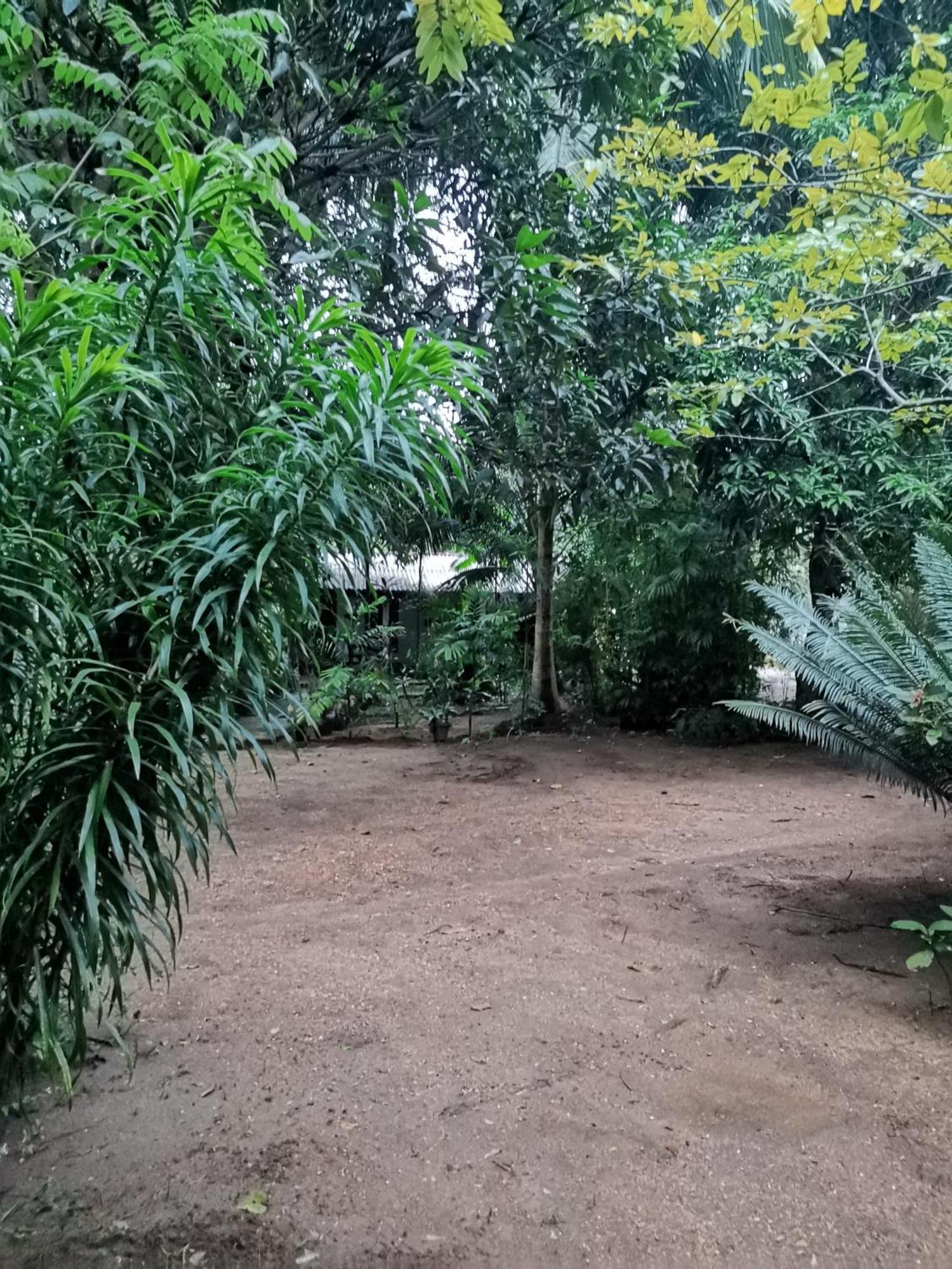 Sigiri Mango Garden Eco Resort Sigiriya Exteriör bild