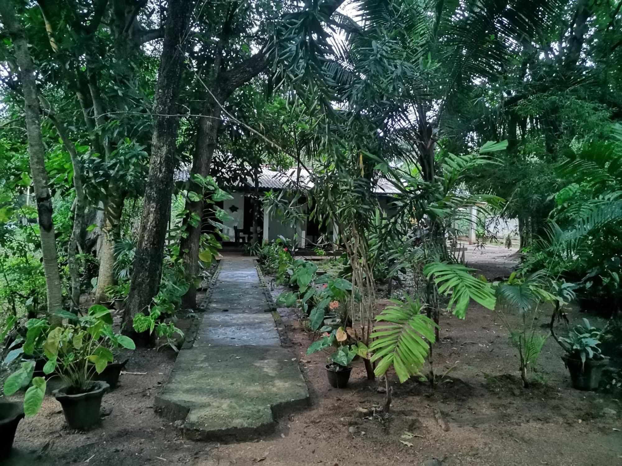 Sigiri Mango Garden Eco Resort Sigiriya Exteriör bild