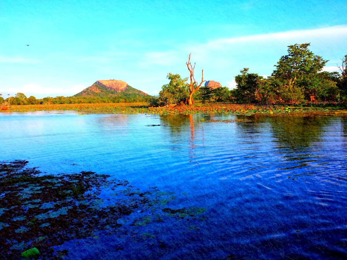 Sigiri Mango Garden Eco Resort Sigiriya Exteriör bild