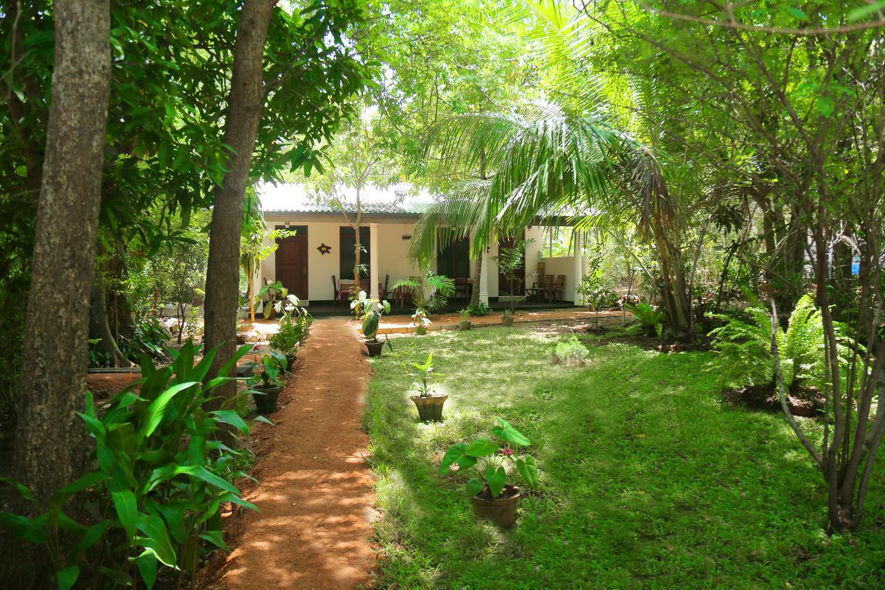 Sigiri Mango Garden Eco Resort Sigiriya Exteriör bild