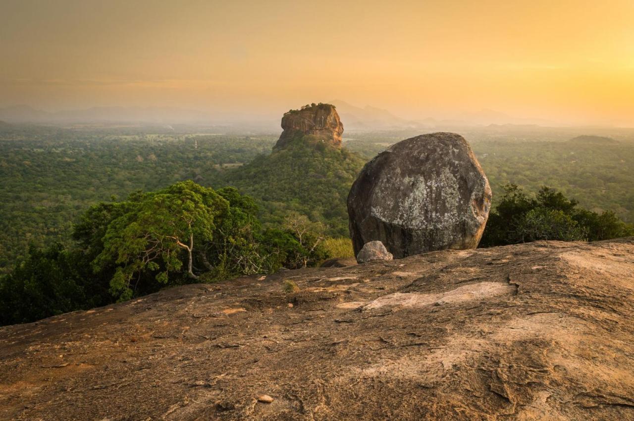 Sigiri Mango Garden Eco Resort Sigiriya Exteriör bild